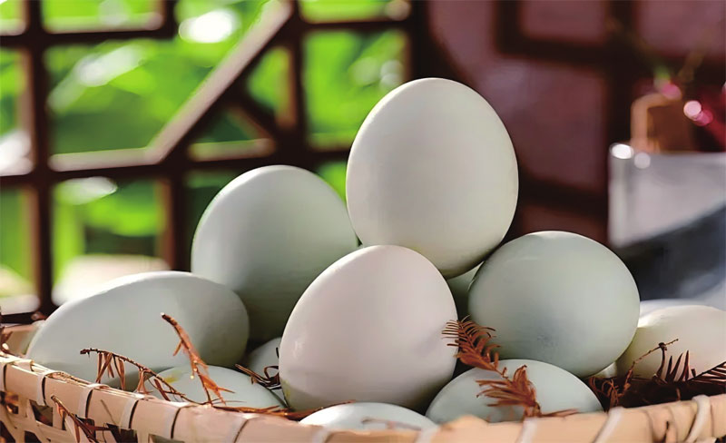 东乡神蛋 华夏明珠