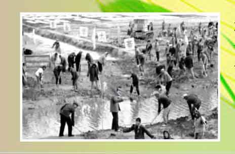 总经理、研究员徐建生的三种精神