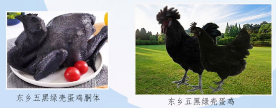 叶酸蛋有哪些特点？