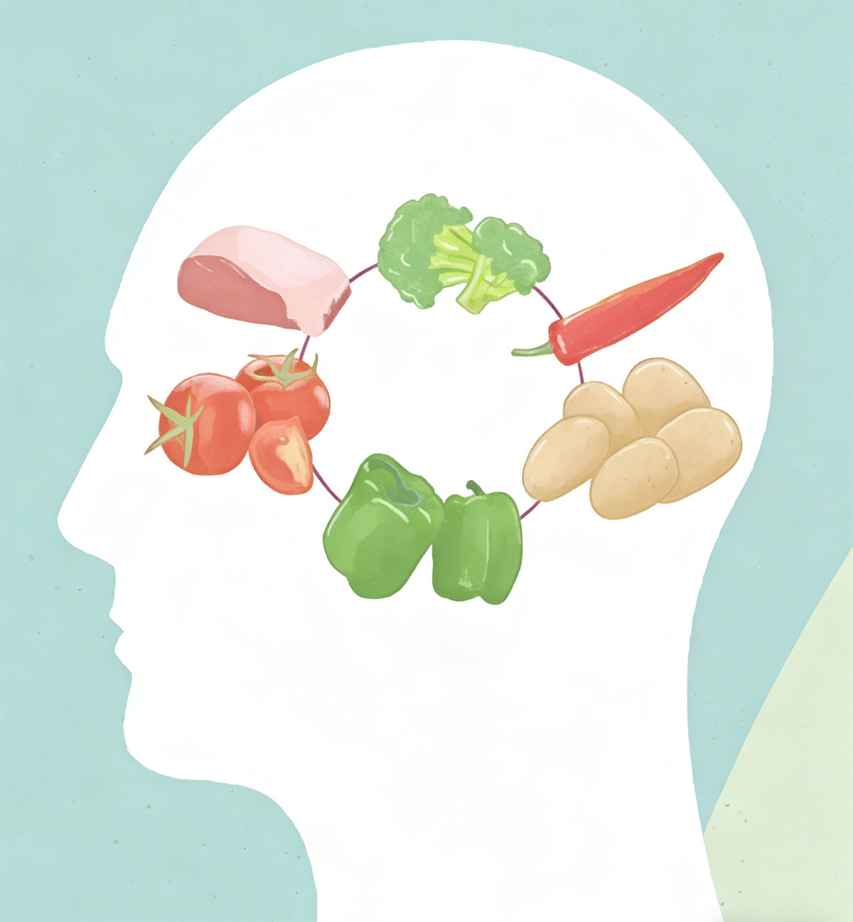 华绿叶酸蛋 营养新标杆