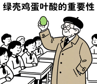 华绿叶酸蛋吃出倍健康