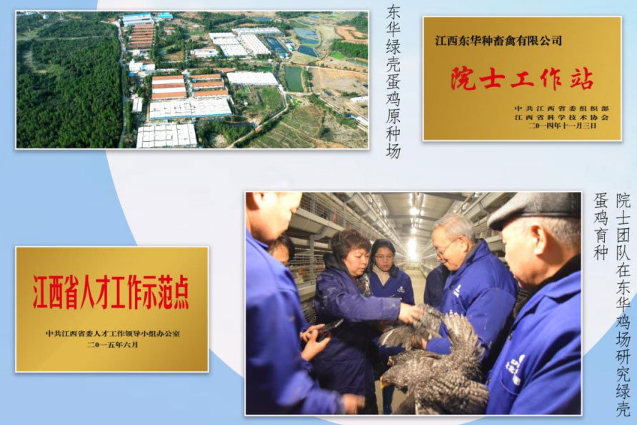 科技育好蛋 东华是标杆